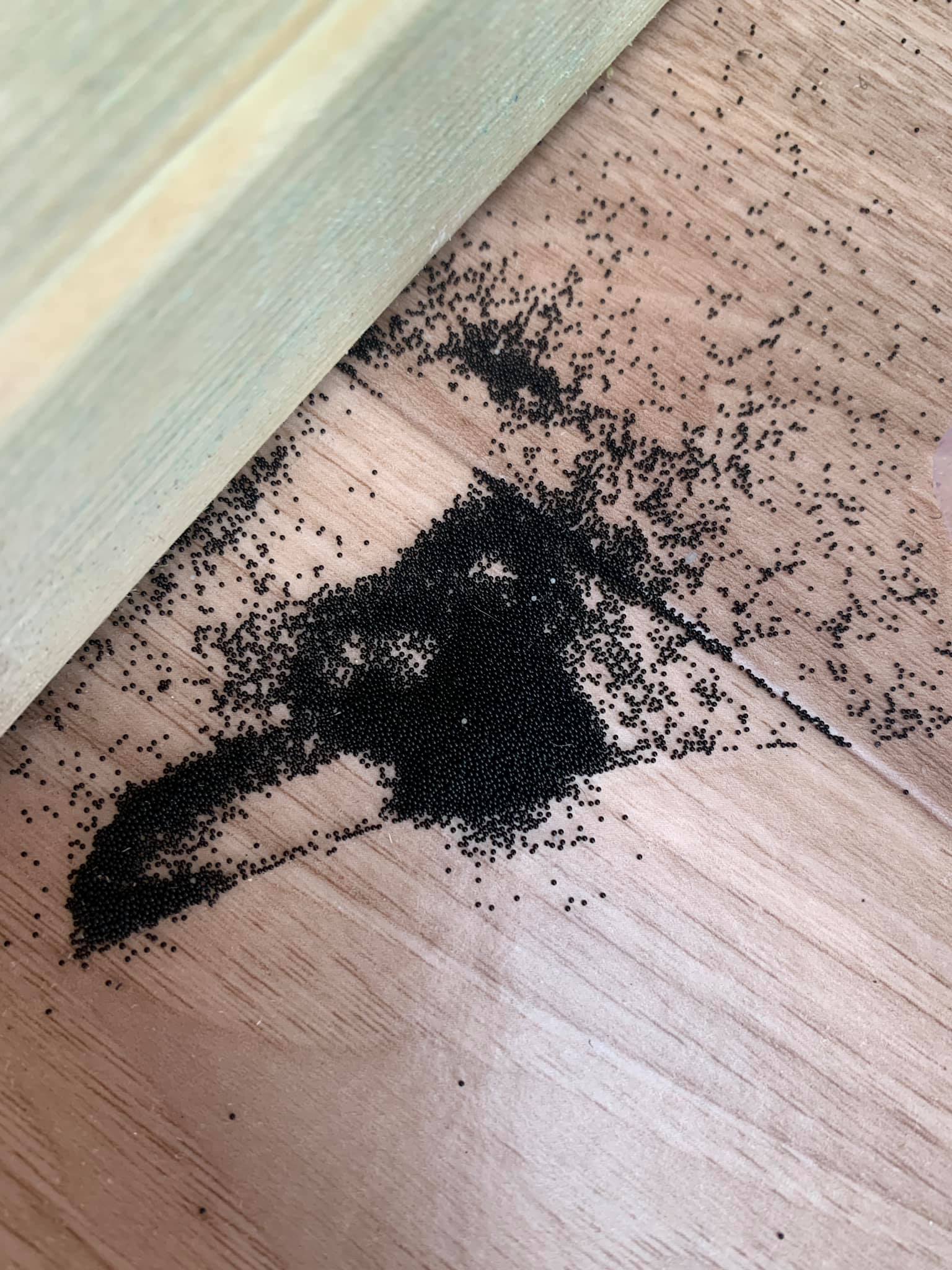 幸福空間討論區