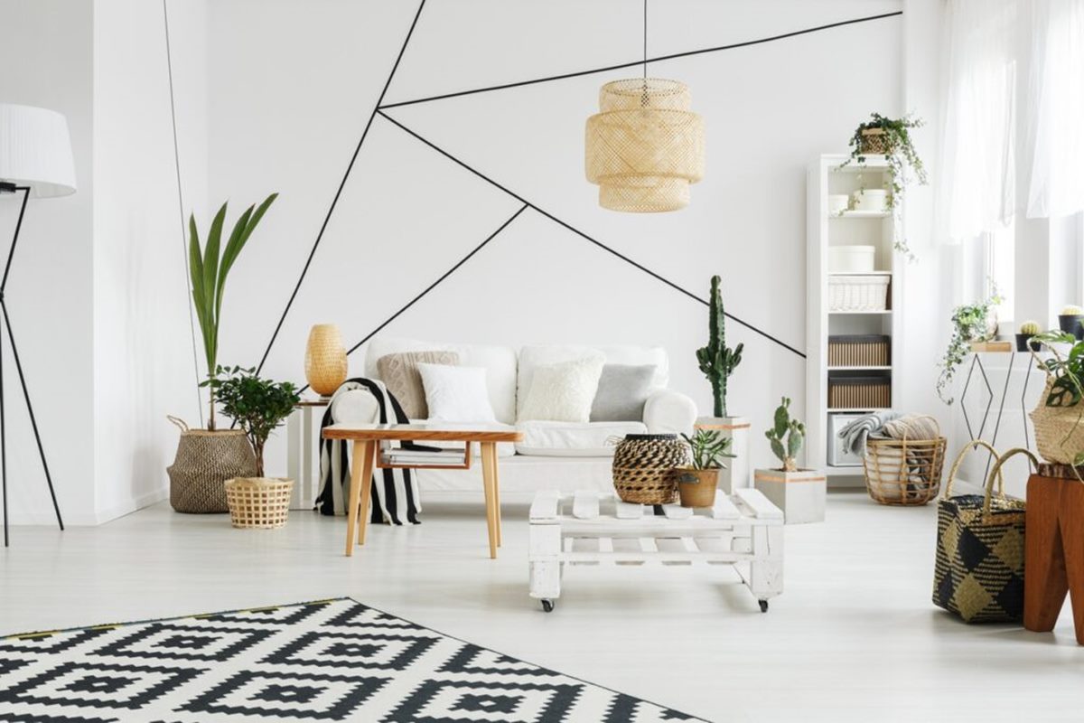 經營自己的小森林 3種超好照顧的北歐風植物 幸福空間